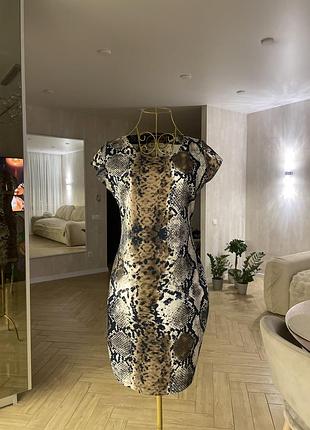 Стильна сукня з анімалістичним принтом зміїний принт