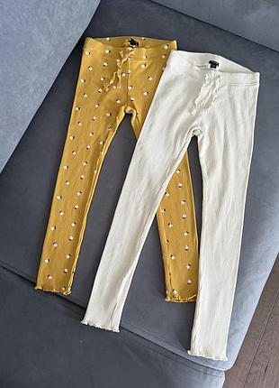 Набір лосин