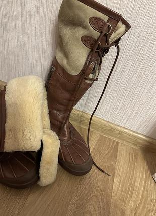 Сапожки зима уггі ugg