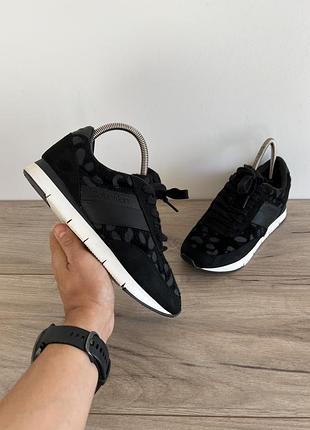 Кросівки снікерси calvin klein оригінал