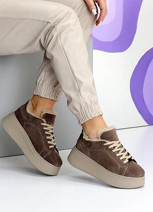 Замшевые женские бежевые кроссовки на платформе танкетке зимние натуральная замша зима