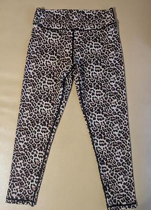 Лосины леггинсы леопардовый принт с пуш ап syia