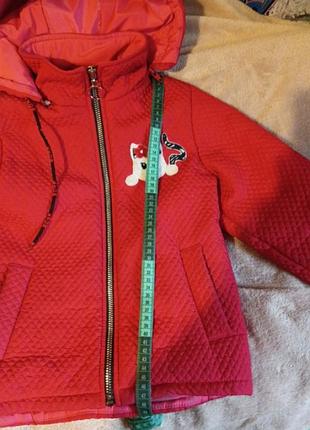 Курточка, осень весна 4