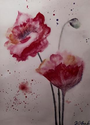Картина 40*30 акварель "макі" квіти, ручна робота