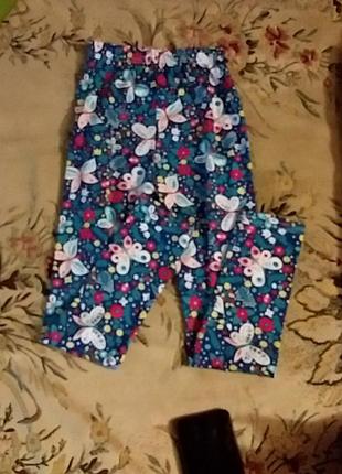 Лосины принт бабочки