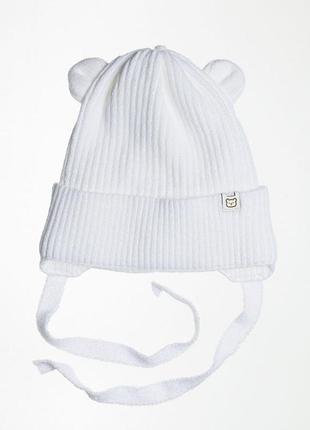 Зимова дитяча шапка на зав'язках з вушками на флісі 48 для дівчинки хлопчика