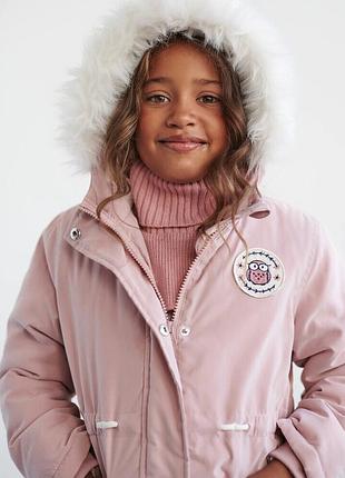 Синсей, 122р. ідеал!