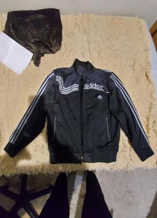 Олимпийка adidas