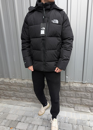 Зимова чоловічі куртка the north face 700 чорна