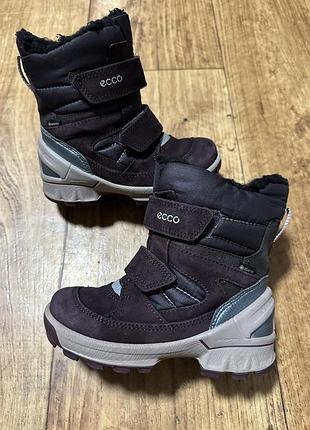 Черевики ессо gore-tex р-26