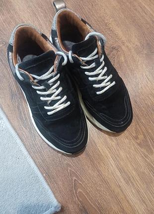 Продам женские замшевые кроссовки бренда неизвестного европейского бренда