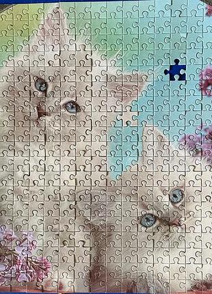 Пазл з котиками, 500 елементів