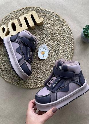 Зимові хайтопи