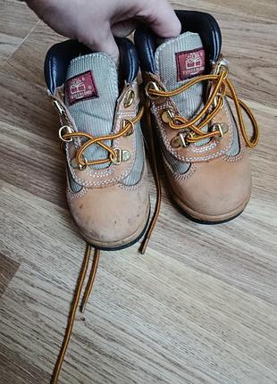 Черевики timberland