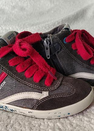 Яркие стильные хайтопы geox 27р.