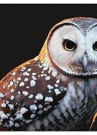 Картина по номерам"гордый взгляд" кно4395 yargo