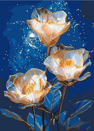 Картина по номерам космические астромерии с красками металлик 40х50 см lw3337 yargo