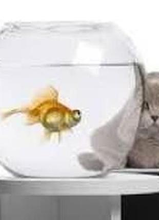 Алмазная мозаика "золотая рыбка под присмотром" y0032 yargo