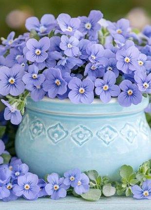 Алмазная мозаика "голубые душистые цветы", 30*40см, на рамке s20324 yargo