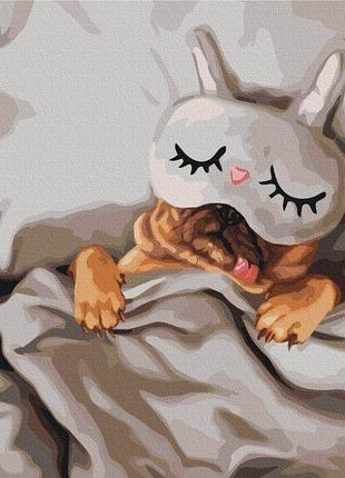 Картина за номерами "спляча красуня, lucia heffernan", в термопакеті 40*50см bs53482 yargo