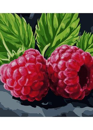 Алмазна мозаїка "соковита малина" 40*50 см 954873 yargo