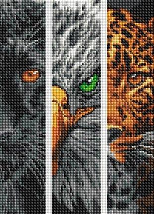 Алмазна мозаїка "хижаки" 40*50см, термопакет amo8046 yargo