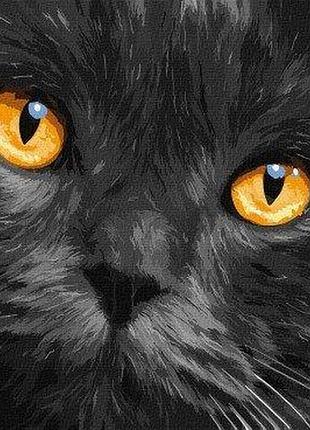 Картина по номерам "янтарные глаза" kho4391 yargo