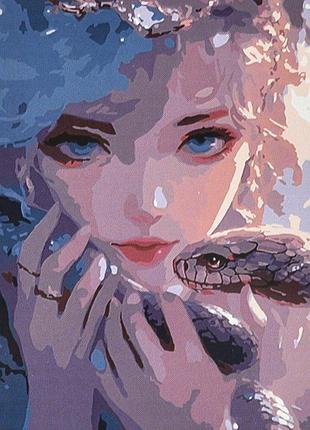 Картина по номерам "магия и опасность", в термопакете, 40*50см va-4625 yargo