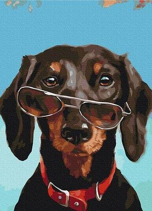 Картина по номерам "мистер pancho ©lucia heffernan" 40х50см bs53508/регiон-ii yargo