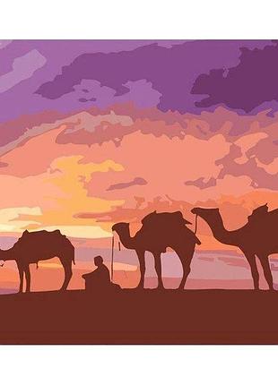 Картина по номерам премиум бедуины египта с лаком размером 40х50 см dy373 yargo