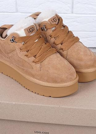 Уги жіночі ugg lowmel sneaker chestnut коричневі