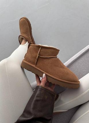 Жіночі уггі ugg