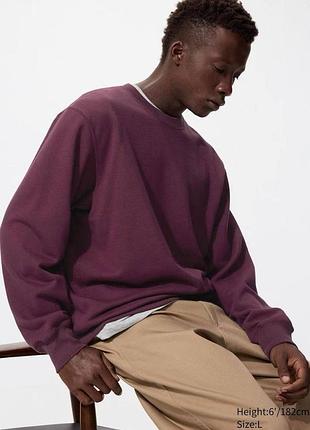 Свiтшот uniqlo бордовий sweatshirt