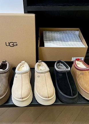 Ugg tazz всі кольори