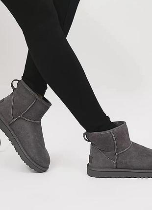 Ugg mini короткі жіночі чоботи оригінал
