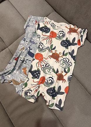 Пісочники next