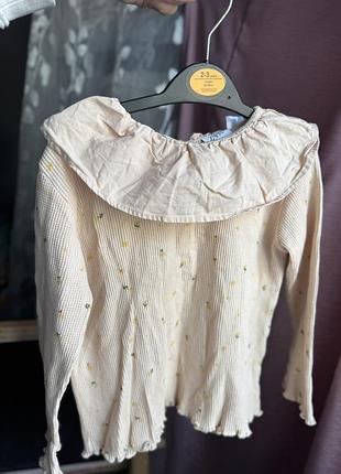 Реглан з комірцем zara 110р