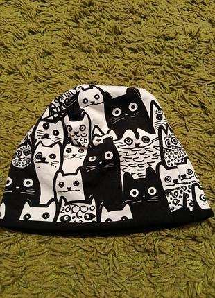 Шапка с котиками