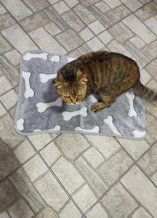 Коврик для котика.