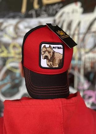 Красный/питбуль one size
