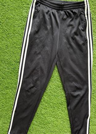 Спортивні штани