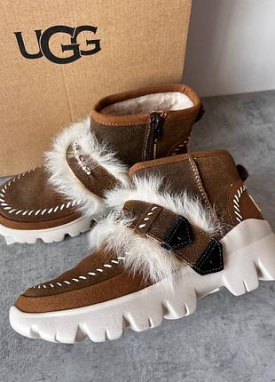 Зимние сапоги от ugg. натуральные. оригинал из сша