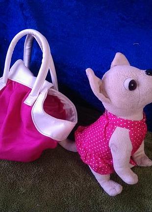 Милая собачка чихуахуа с сумочкой simba- в хорошем состоянии