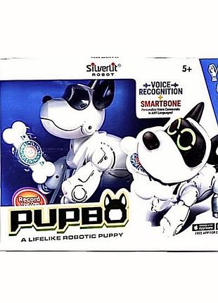 Нова в коробці собака-робот pupbo silverlit (88520)
