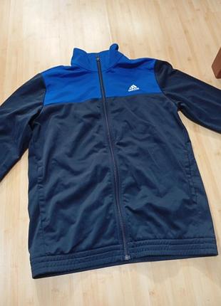 Чорно синя олімпійка