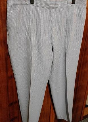 Штани класичні жіночі стильні тренд на резинці