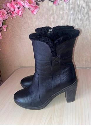 Зимние кожаные полусапожки на каблуке р.38