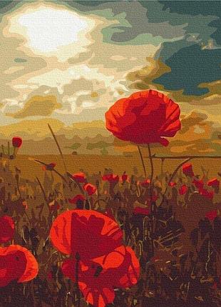 Набор картина по номерам "маки под палящим солнцем" 48х60см bs51961l, yargo
