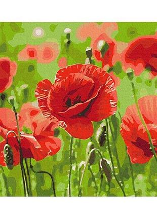 Набор картина по номерам "красные маки" 40х50см bs53703, yargo