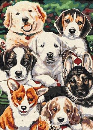 Набор картина по номерам "щенята" 48х60см bs5544l, yargo